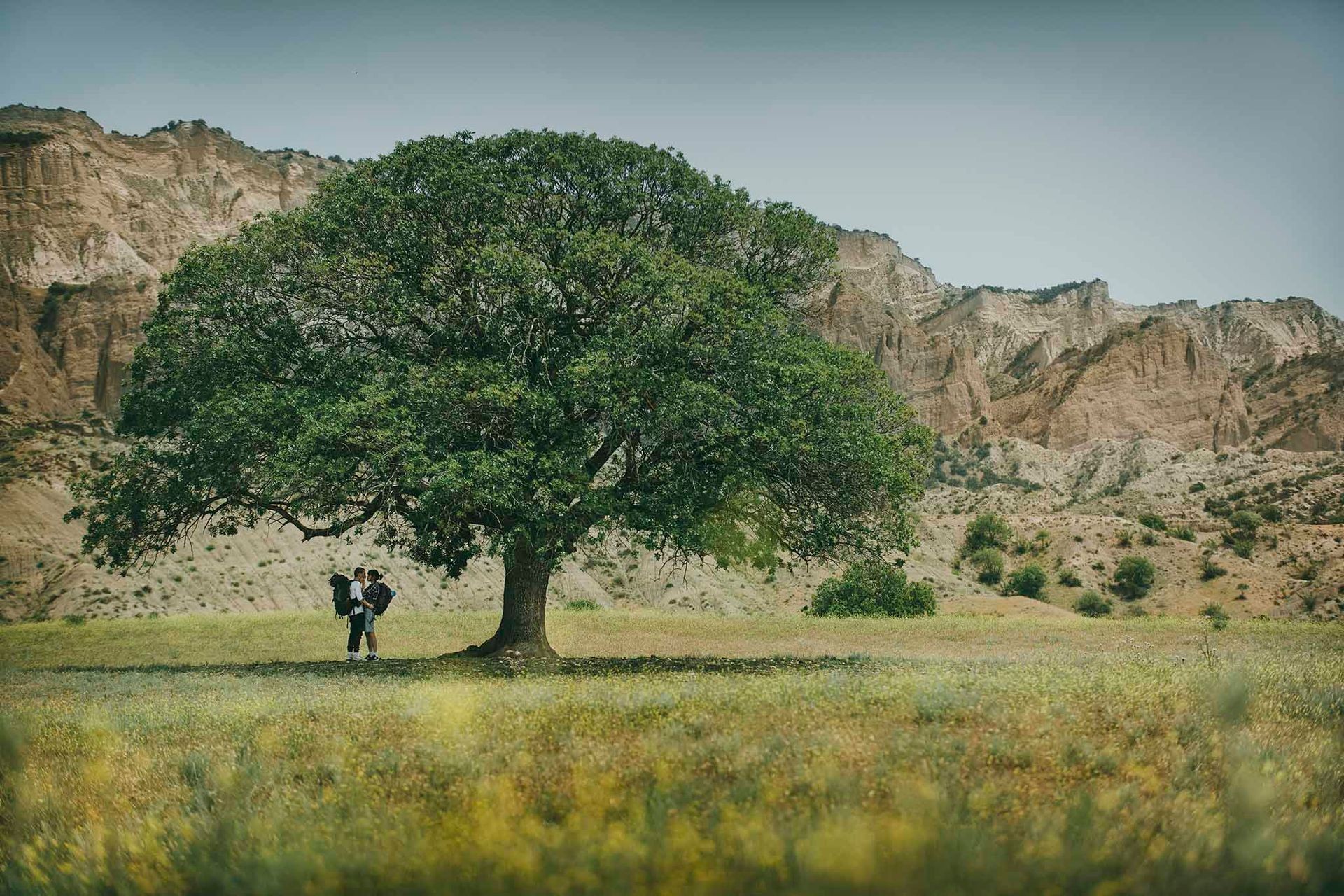 Adventure in Georgia's Wilderness