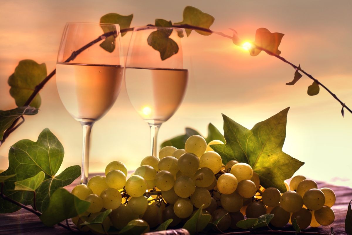 white wine with grapes on vineyard